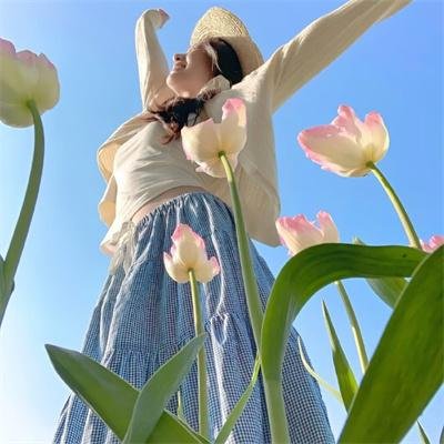 瑶池凤舞